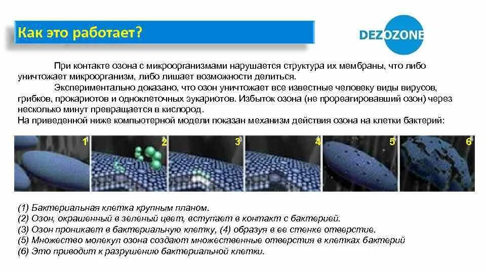 Проблемы с озоном сегодня. Обработка озоном автомобиля. озонирование помещений. воздействие озона на микроорганизмы. обеззараживание озоном.