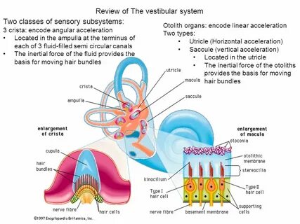 Second system