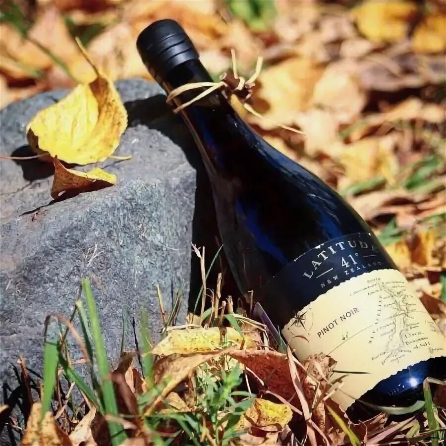 Параллель вина. Latitude 41 вино. latitude 41 sauvignon blanc. латитьюд 41 вино совиньон блан. вино параллель.