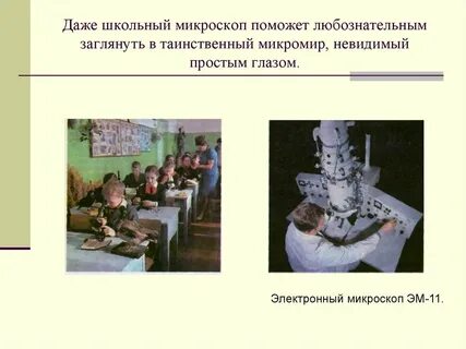 Даже школа