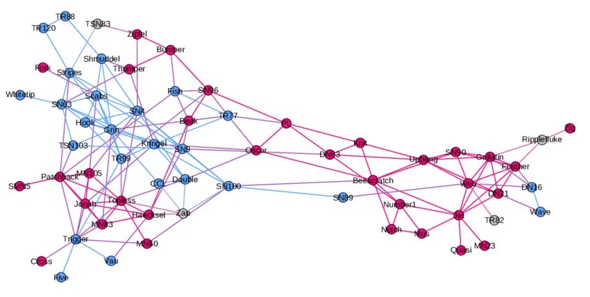 Артикул сеть. Социальные графы. Биологические сети.