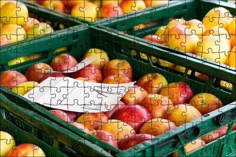 Sell fruit
