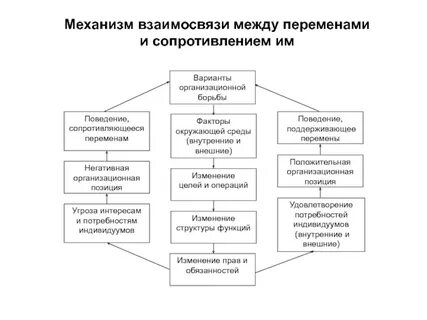 Взаимосвязь между строение и функции