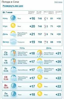 Погода в сочи 6 ноября