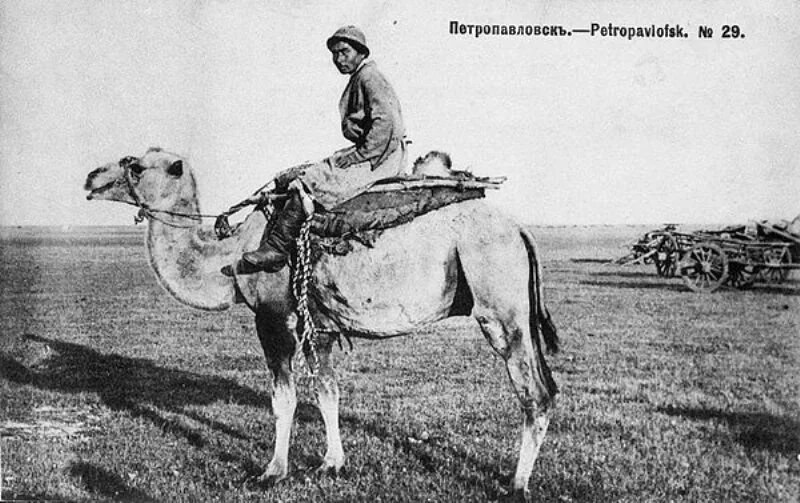 Бить казахов. Старый казах. фото казахов в начале 20 века.