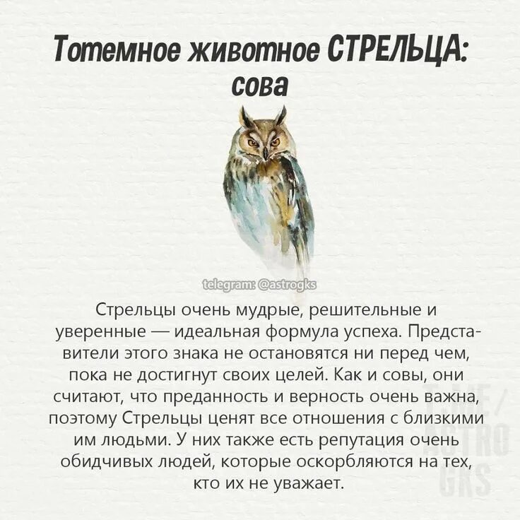 Гороскоп на 3 апреля стрелец. Тотемное животное. Тотемноеживотноестрел ца. Тотемное животное стре. Тотемное животное Стрельцов.