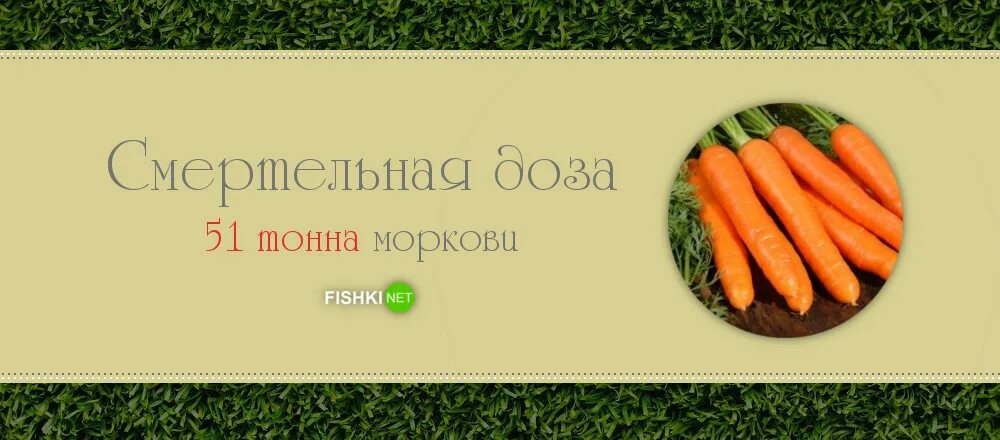 Сколько нужно съесть чтобы стать оранжевым. Сколько нужно съесть чтобы стать оранжевым