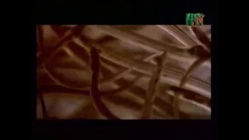 X mode в мире животных. Муз тв 2006 vhsrip. dl nil x mode в мире животных муз тв. dl nil x mode в мире животных animal kingdom 360 px.