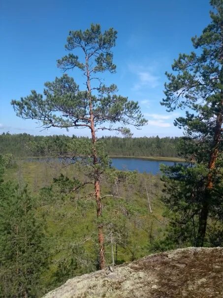 Кузнечное Приозерский район. Кузнечное Приозерский район пляж. Кузнечное Приозерский район лагерь. Приозерский р он п кузнечное Заводская 10. Погода в кузнечном ленинградской области на неделю