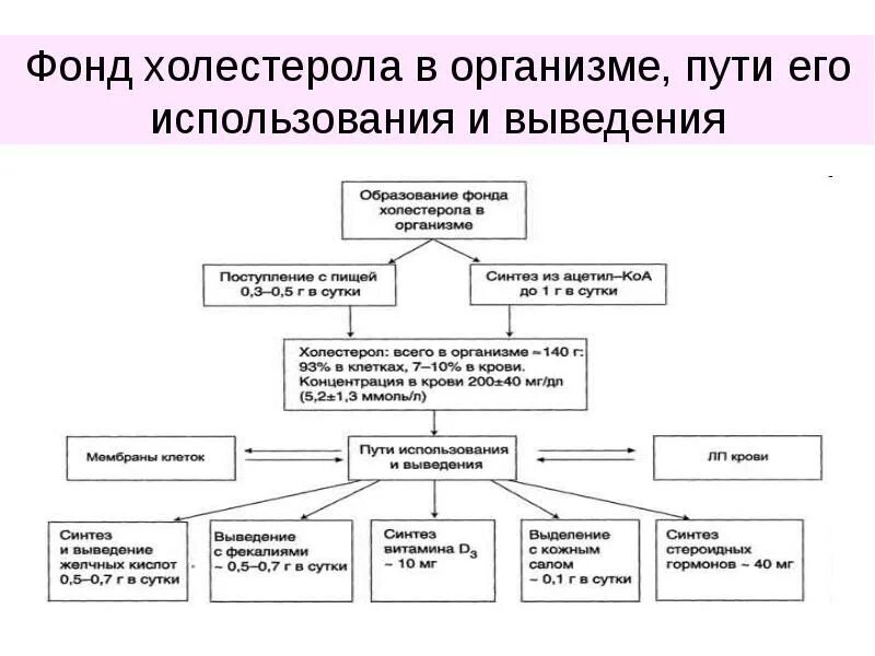 Пути использования холестерина в различных тканях. Фонд холестерина в организме пути его использования и выведения. фонд холестерола в организме человека и его использование. образование фонда холестерола в организме. пути использования и выведения холестерола.