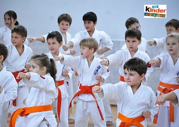 Кёкусинкай каратэ сэйдза. Дети занимаются каратэ 5 лет. Ученик карате. Кенка джуку каратэ. Доджо киокушин япония.