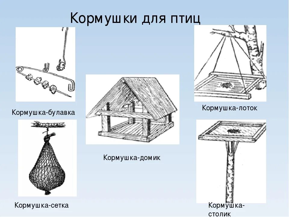 Конструкция кормушки для птиц. Эскиз кормушки. Чертеж кормушки. Схема кормушки для птиц. Свойства кормушки для птиц