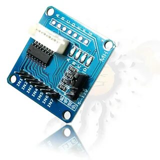 Module 28