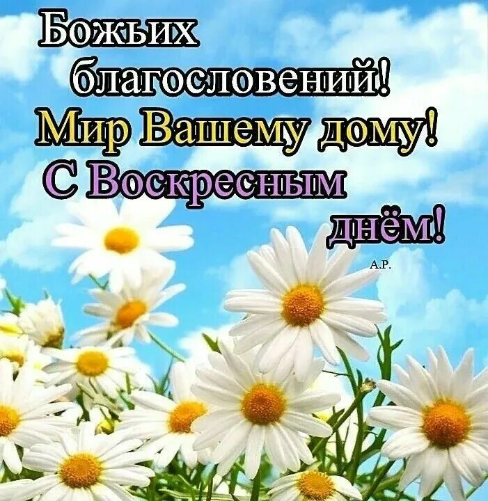 Доброе утро картинки православные с хорошими пожеланиями. Христианские открытки с добрым утром. Доброго воскресного дня Православие. Христианские пожелания доброго утра и хорошего дня. С воскресным днём православные.