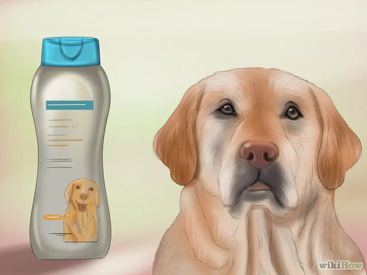 Почему щенок пахнет. Неприятные запахи для собак. Собаке от запаха изо рта. Нейтрализатор запаха изо рта для собак.