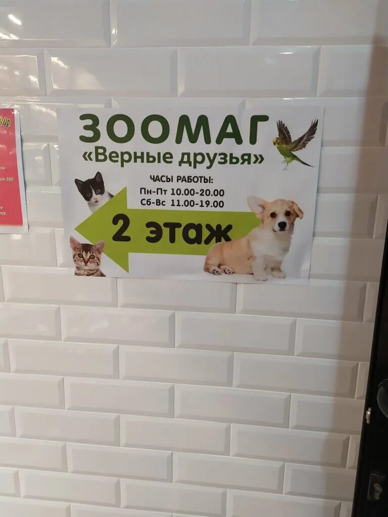 скидка 10 процентов зоомагазин. зоомагазин верные друзья петрозаводск. верные друзья зоомагазин хабаровск. верные друзья зоомагазин.