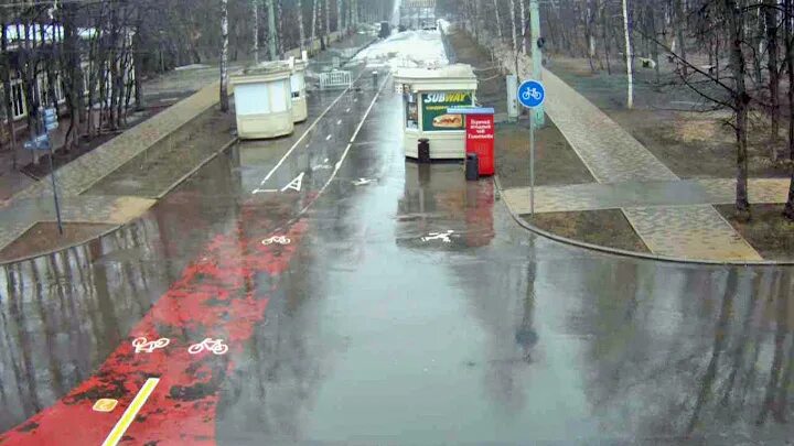 Парк сокольники камеры. Сокольники парк в парке камера. Сокольники парк в парке камера. Евпатория аллея. Веб камеры парковый.