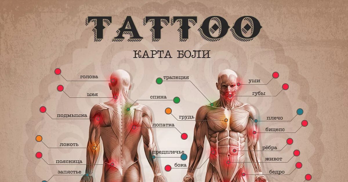 Рейтинг самой сильной боли у человека. Карта боли татуировок. Болевые места татуировок. Точки боли тату. Самые популярные места для тату.