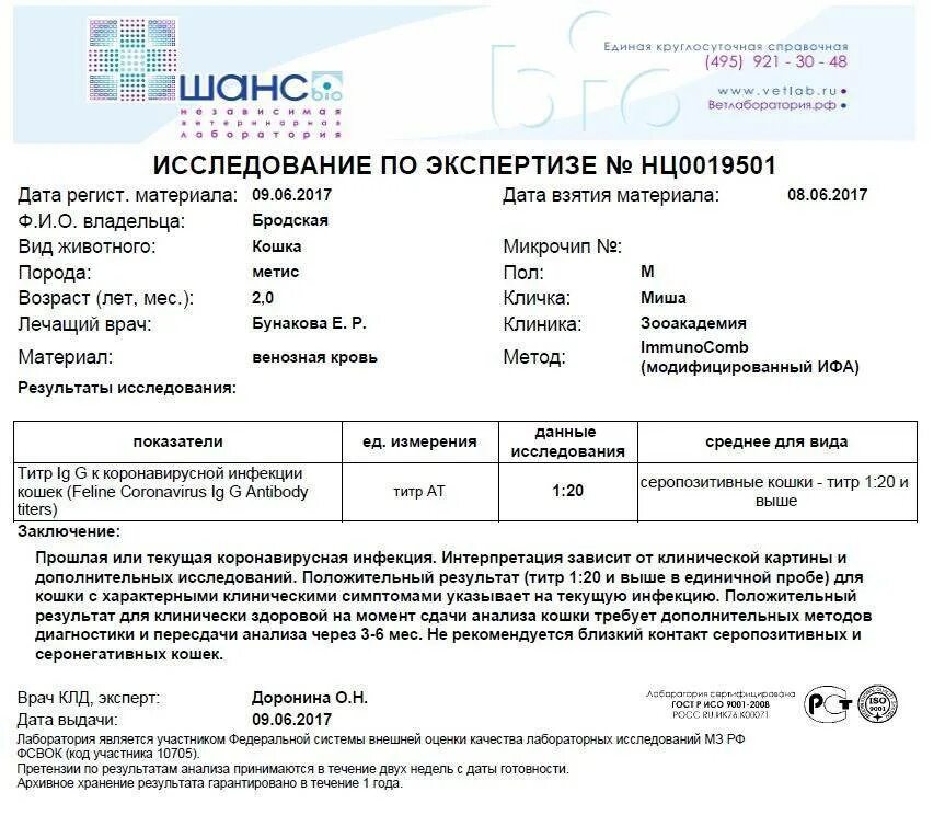 Симптомы коронавируса в 2025 году. Пцр исследование на кошачий коронавирус. кошачий коронавирус симптомы. исследование крови на коронавирус у кошек. результат анализа на коронавирус.