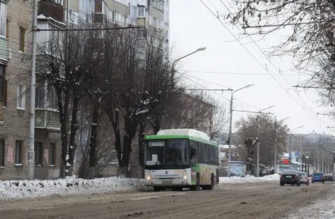 Автобус 1365