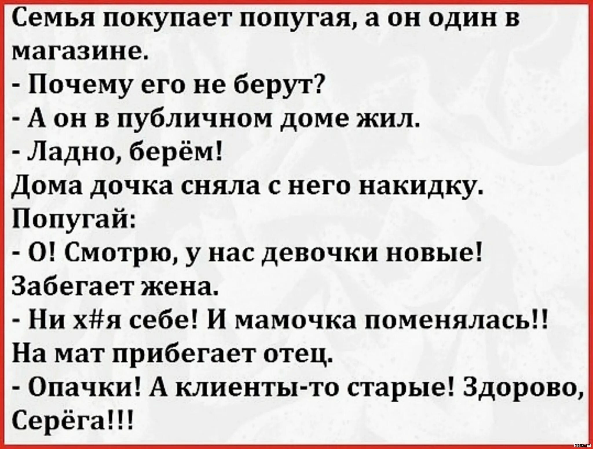 Анекдоты пук. Анекдот про попугая. Анекдот про попугая из публичного дома. Анекдоты про попугая смешные. Анекдоты с попугаем.