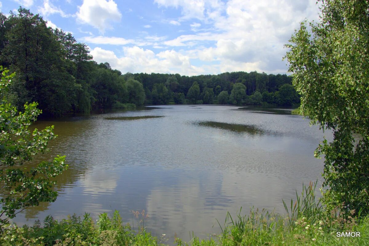 серебряный, желтый и тарелочкин пруд балашиха. желтые пруды. желтый пруд в салтыковке. желтый пруд балашиха. серебряный пруд московская область салтыковка.