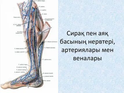 Виаградан кейінгі оргазмды бақылаңыз