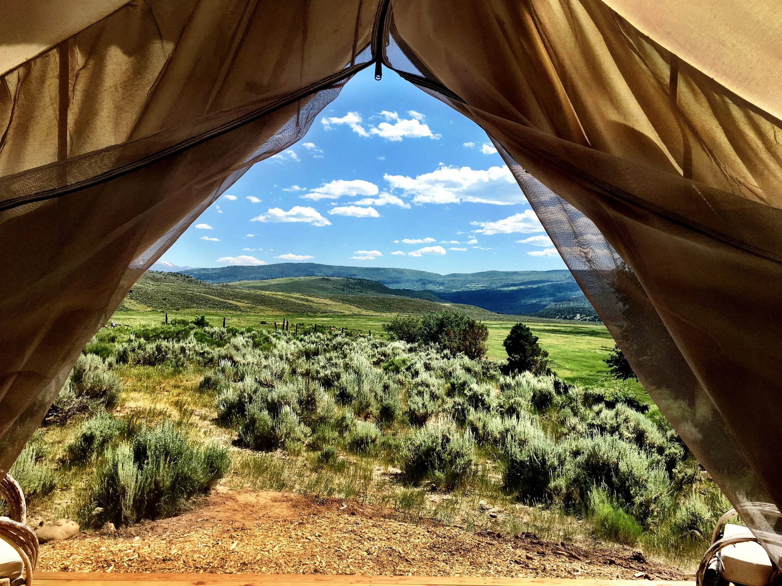 Гаруда глэмпинг абхазия фото. Гаруда глэмпинг абхазия. Гаруда глэмпинг. Гаруда глэмпинг. Глэмпинг лес сочи.