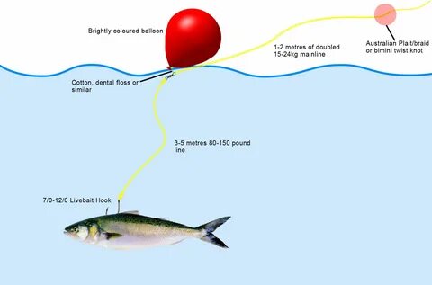 Pin by Ruben Fernandez on Fishing/Kayak Fishing rigs, Fish, Rigs.