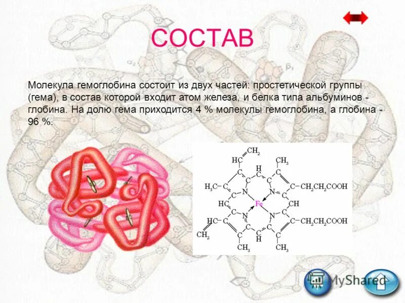 Железо входит в группу. Гемоглобин формула общая. Схема молекулы гемоглобина. Молекула гемоглобина состоит из. Белковая часть гемоглобина.