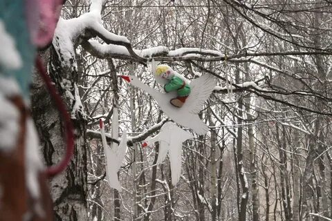 Одень дерево