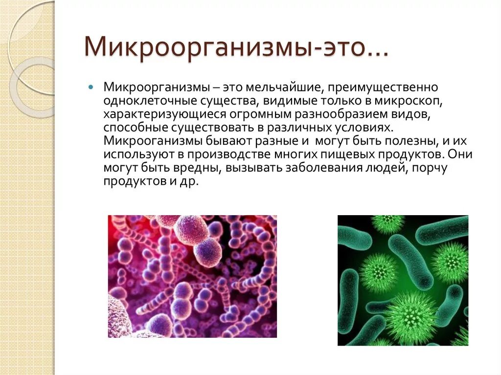 Презентация многообразие бактерий и вирусов. Микроорганизмы это. Презентация на тему микробы. Разные бактерии. Понятие о микроорганизмах.