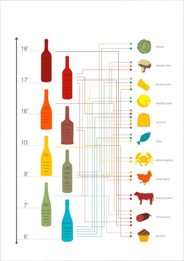 Вине температура. Сочетание вина и еды. Инфографика вино и еда. Сочетание вин с едой. Температура хранения вина.