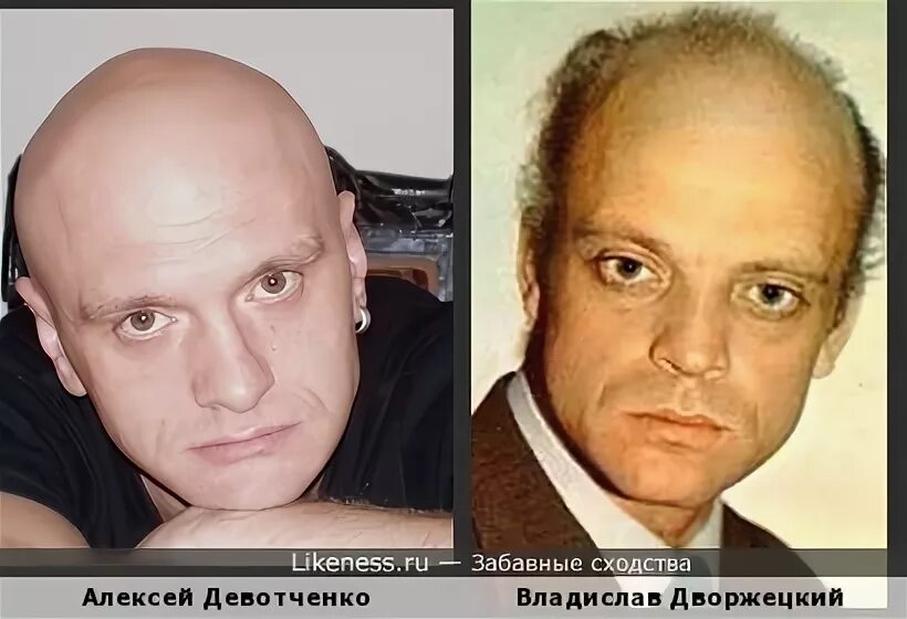 Актёрская династия Владислава и Евгения Дворжецких: прерванный полёт или достойн
