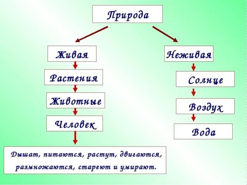 Окружающий мир 2 класс схема природы