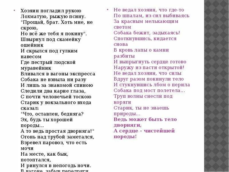 Стихотворение хозяин погладил рукою лохматую рыжую спину. Стихи Асадова про собаку. Асадов стихи о рыжей дворняге.