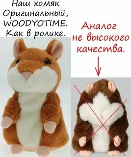 Код хомяк 8 9 июля