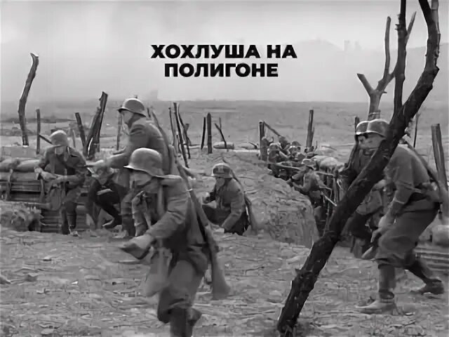 Зеленец хохлуша серка