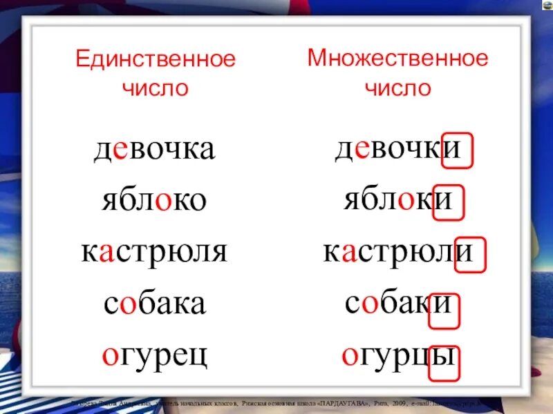 Единственное число и множественное число. Существительные единственного и множественного числа. Единственное и множественное. Слова в единственном и множественном числе.