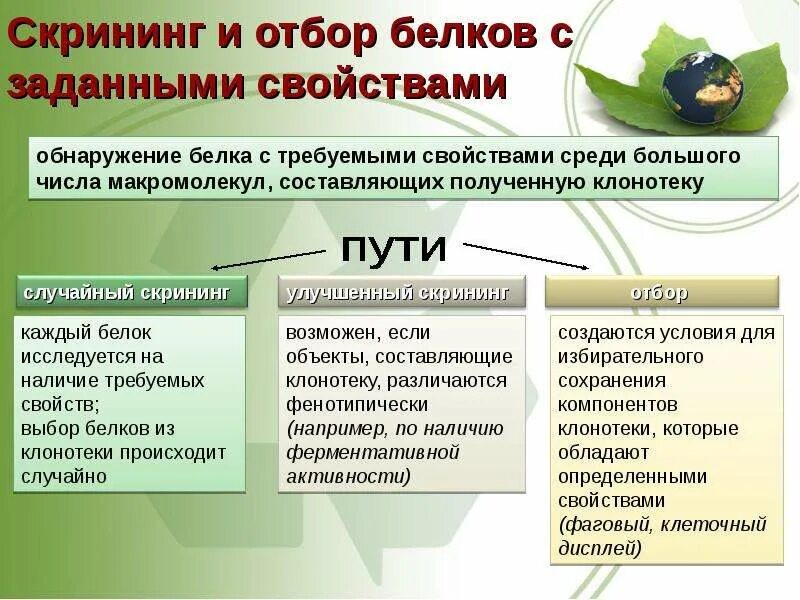 Биотехнология получения белка. Белковая инженерия. Белковая генная инженерия. Белковая инженерия методы. Задачи белковой инженерии.