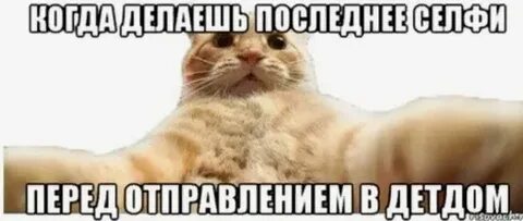 Слышь поехали