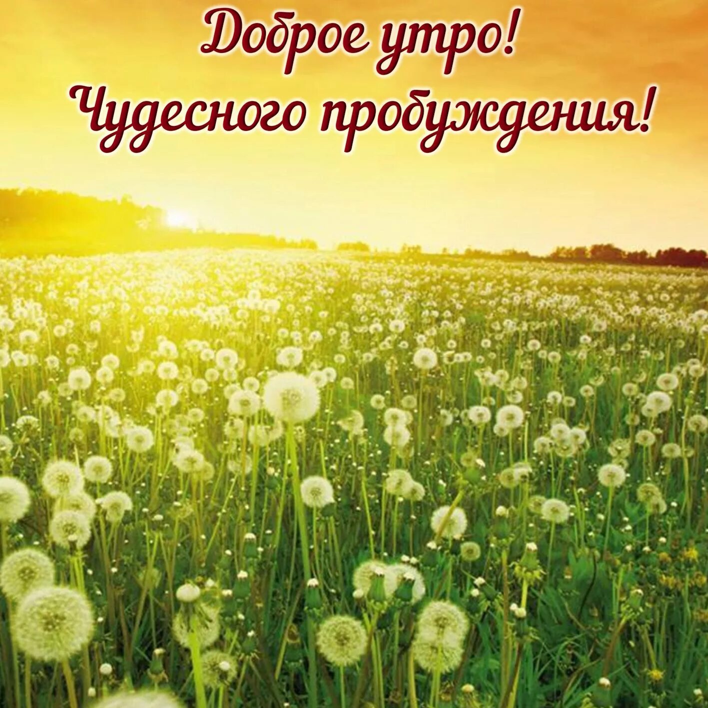 Хорошего дня пожеланиями природа