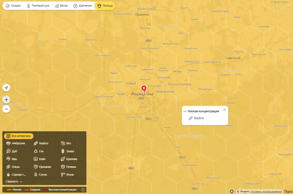 Карта пыльцы березы. Карта пыльцы. Карта пыльцы для аллергиков. Карта пыльцы для аллергиков Москва.
