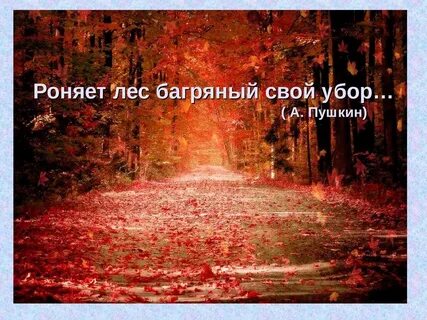 Леса роняли яркую пеструю листву