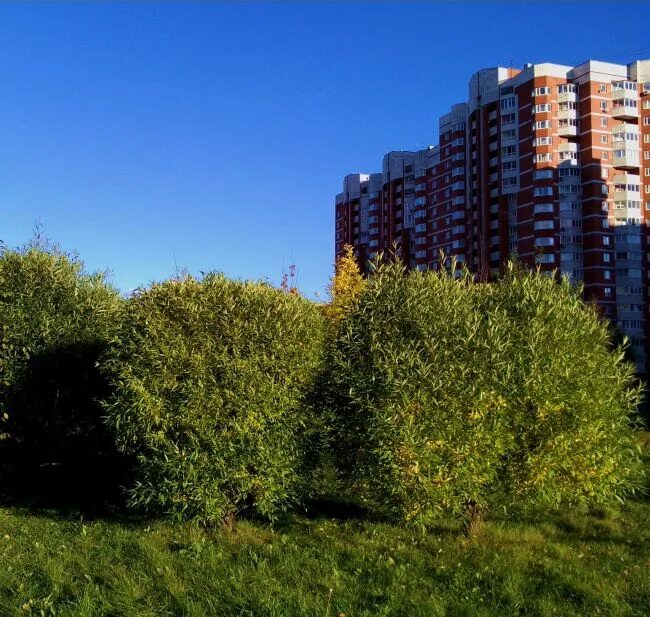 сергея бутякова 4 чебоксары. солнечная улица 43а самара. солнечная 2 черноголовка. солнечная 4б черноголовка. солнечная дом 4.