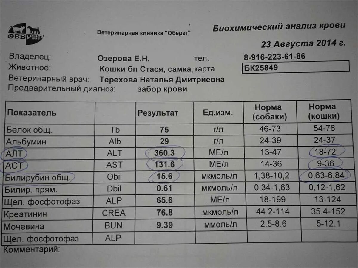 Повышение аст. Биохимический анализ крови алт норма. Анализ крови алт и АСТ норма. Алт норма АСТ норма. Показатели биохимии крови АСТ И алт.