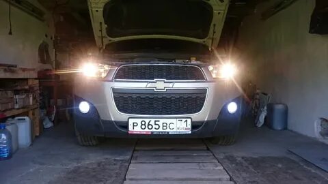 Каптива туманки