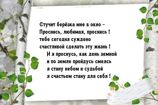 Белая берёза стучится в окно. Белая берёза я тебя люблю стих. Белая берёза я тебя люблю текст. Берёзы русские берёзы я верю в Вашу тишину. Стих белая береза я помню ранило березу