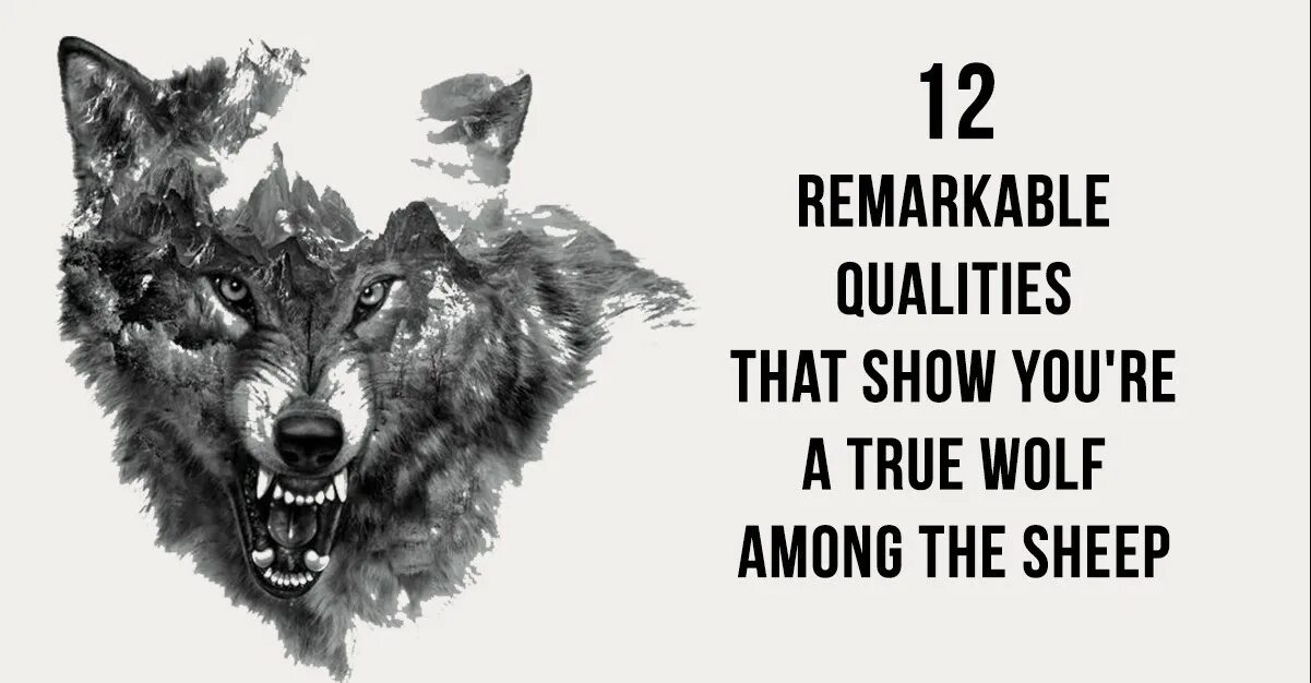 You are the wolf. Be the wolf группа. holding a wolf by the ears обложка. until they meet a wolf. the wolf is a member of the.