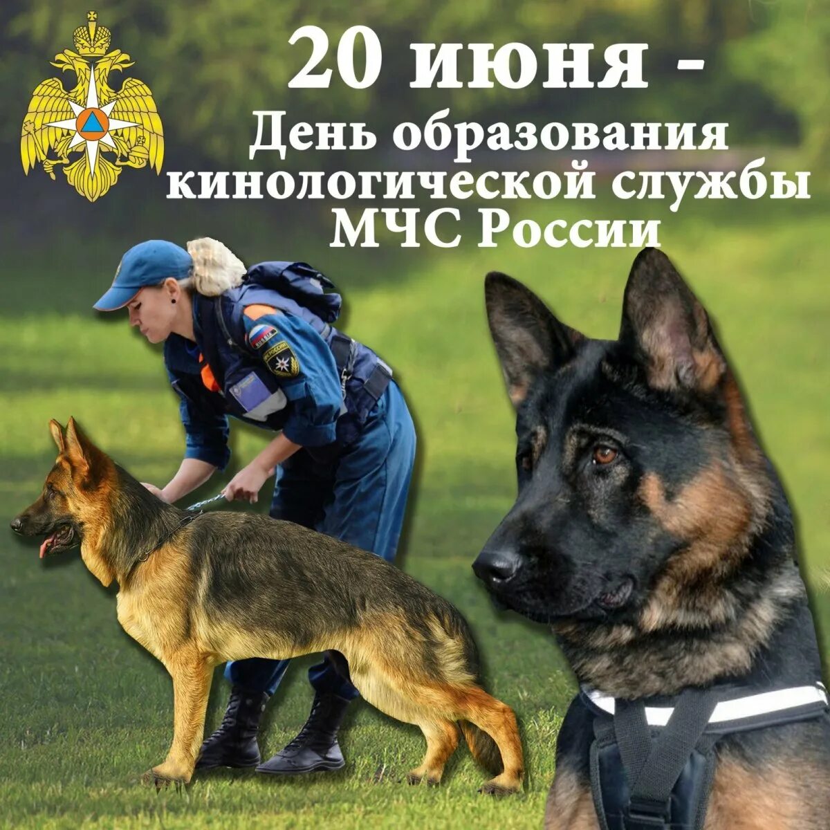 Поисково-спасательная служба. День кинологической службы открытки. День кинолога мчс. День кинолога мчс. Спасатели кинологи мчс.